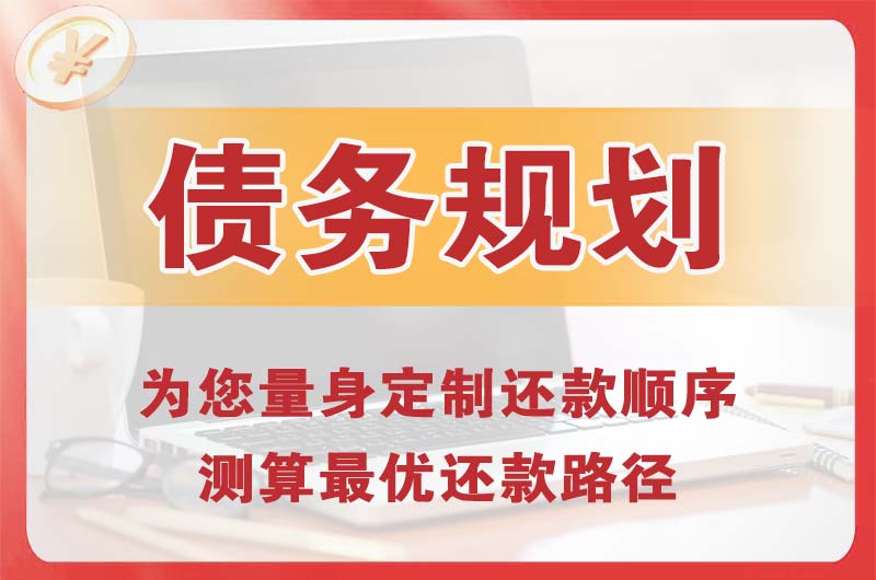 文山债务规划